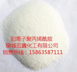 广灵阳离子聚丙烯酰胺公司直销 高效水处理解决方案的技术解析